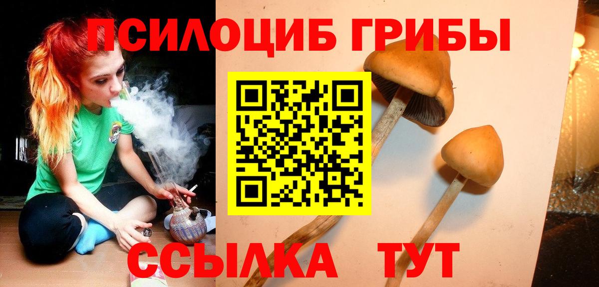 Галлюциногенные грибы ЛСД  Вход с VPN  продажа наркотиков  Миллерово 